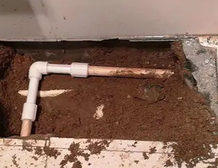 耒阳测漏水哪家好