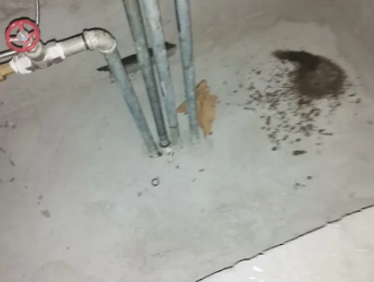 耒阳卫生间测漏水价格明细