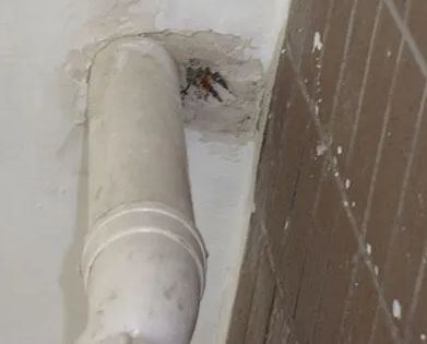 耒阳漏水检测哪家好